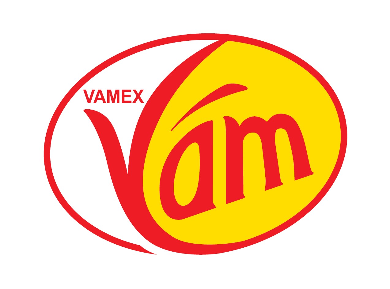 VAMEX,a.s.,Košice